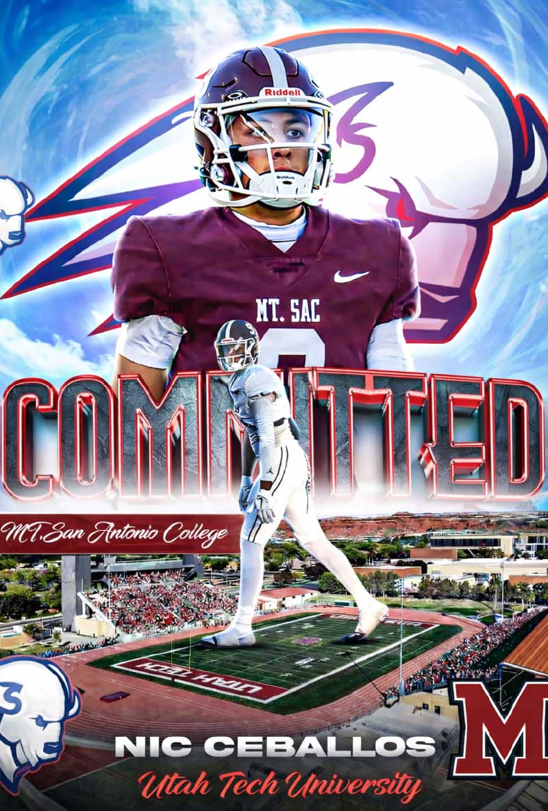 Featured image for “On the Gridiron”